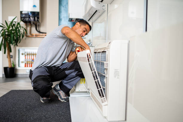Best Duct Cleaning for Homes  in Vienna, IL