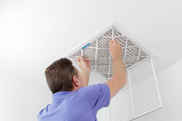 Best Local Air Duct Cleaning Services  in Vienna, IL